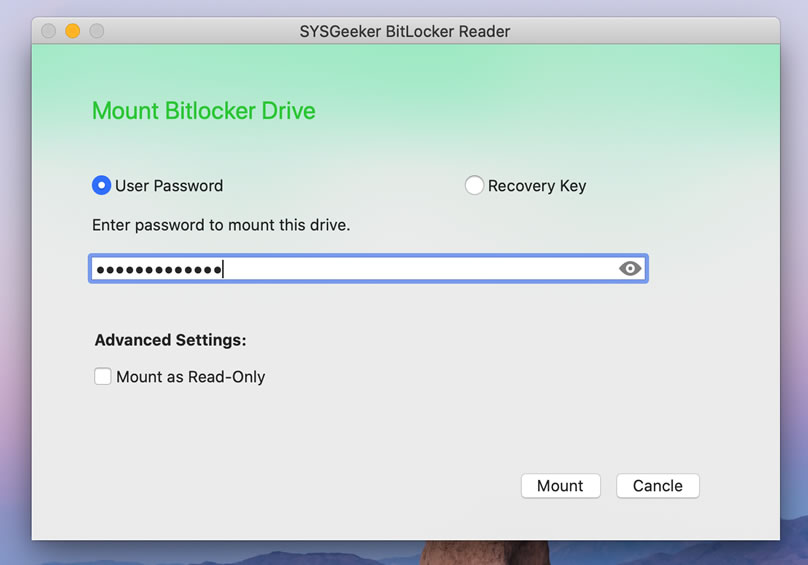 install bitlocker download